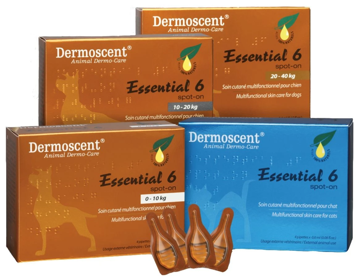 Selectavet Dermoscent Essential 6 Spot On 4 X 0,6 Ml Für Hunde (0 - 10 Kg) 3 Selectavet Dermoscent Essential 6 Spot On 4 X 0,6 Ml Für Hunde (0 - 10 Kg)