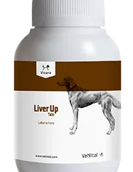 VetVital Vicano Liver Up Tabs Für Hunde 150 Tabletten Dose Für Hunde