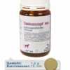 Dechra Caniconcept Neo Für Hunde 90 Tabletten -Deutschland Kuschel Pet Verkaufs-Shop u56FOKimk8LT Dechra20Caniconcept20neo20fur20Hunde