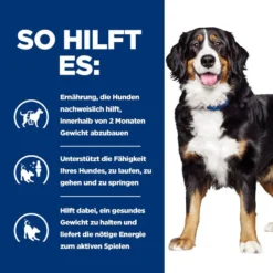 Hills Canine Metabolic + Mobility Trockenfutter Für Hunde 4 Kg Trockenfutter Für Hunde -Deutschland Kuschel Pet Verkaufs-Shop u6sdOkqa9Czq 52742000626 4