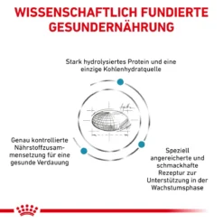 Royal Canin Hypoallergenic Puppy Trockenfutter Für Hunde 1,5 Kg Trockenfutter Für Hunde -Deutschland Kuschel Pet Verkaufs-Shop vfeN5MMLofuN 3182550939010 5824 3