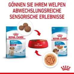 Royal Canin Medium Puppy Frischebeutel 10 X 140 G Frischebeutel Für Hunde 14 Royal Canin Medium Puppy Frischebeutel 10 X 140 G Frischebeutel Für Hunde -Deutschland Kuschel Pet Verkaufs-Shop w4m5n2ewUdRs 9003579008324 4711 5