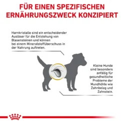 Royal Canin Urinary S/O Small Dogs Hundefutter 1,5 Kg Trockenfutter Für Hunde -Deutschland Kuschel Pet Verkaufs-Shop xOcU0RVhGjm6 3182550780971 358 8