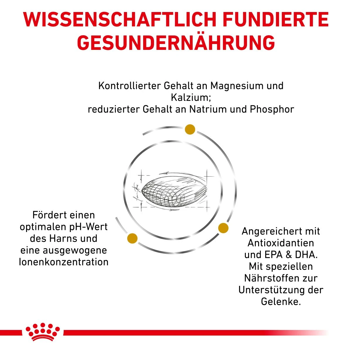Royal Canin Urinary S/O AGEING 7+ Hundefutter 1,5 Kg Trockenfutter Für Hunde 4 Royal Canin Urinary S/O AGEING 7+ Hundefutter 1,5 Kg Trockenfutter Für Hunde – Bild 2