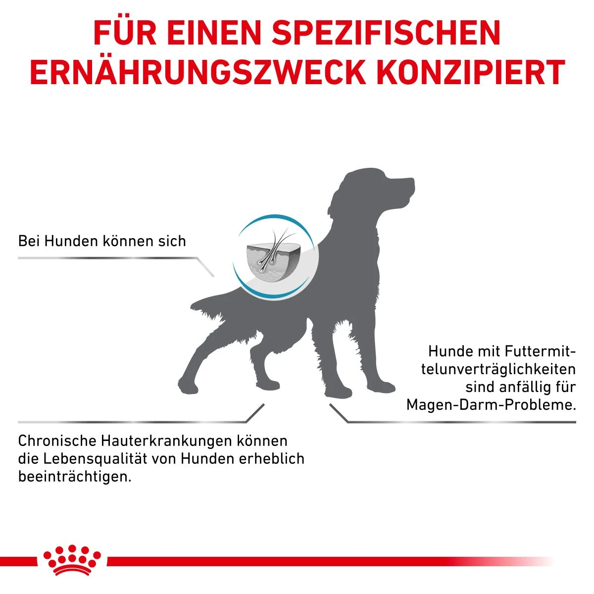 Royal Canin Anallergenic Trockenfutter Für Hunde 1,5 Kg Trockenfutter Für Hunde 10 Royal Canin Anallergenic Trockenfutter Für Hunde 1,5 Kg Trockenfutter Für Hunde – Bild 8