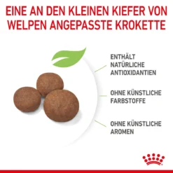 Royal Canin Medium Puppy Für Welpen Mittelgroßer Hunderassen 4 Kg Trockenfutter 17 Royal Canin Medium Puppy Für Welpen Mittelgroßer Hunderassen 4 Kg Trockenfutter -Deutschland Kuschel Pet Verkaufs-Shop zqaPNdxNhtcB 3182550402132 2905 5